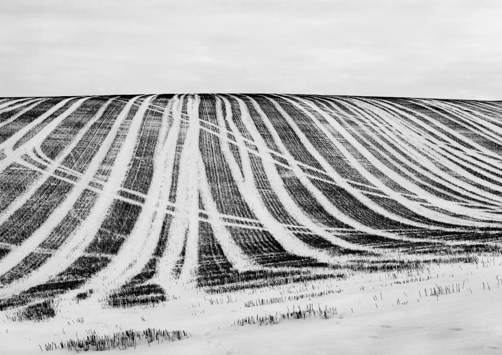 Winter Lines by Michael Krier - CCC