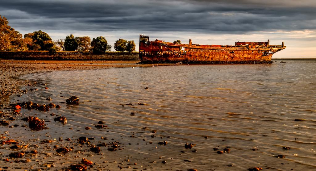 Stranded and Rotting by Peter Calder