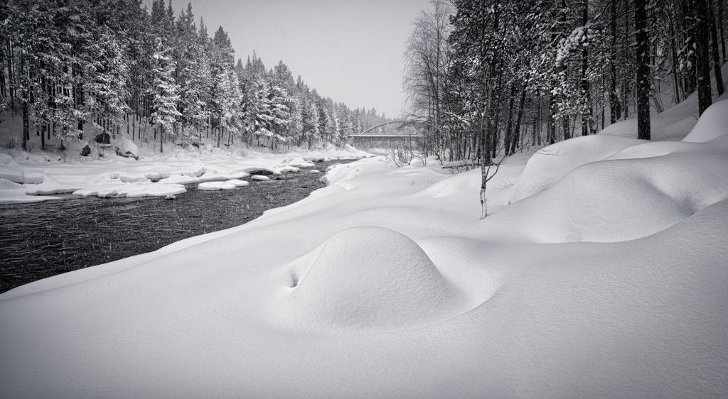 Desert Snow by Frank Pisani