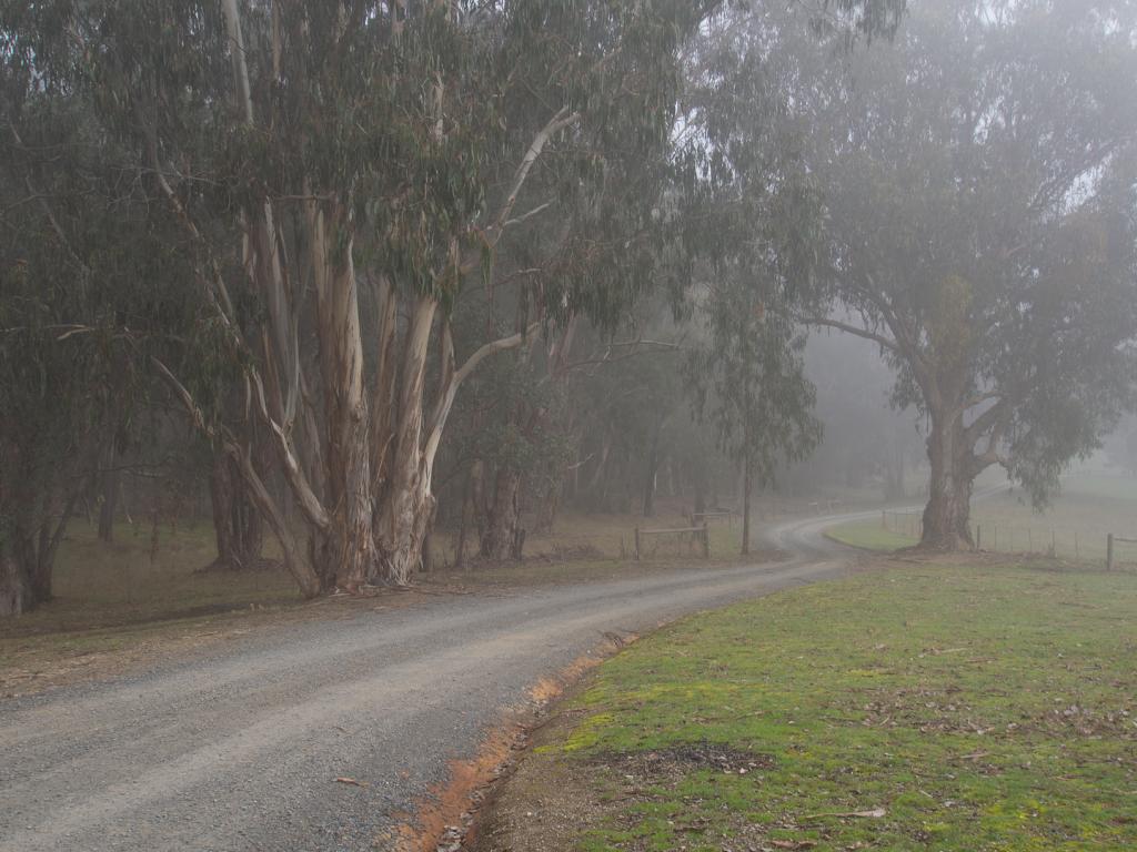 Eildon Morning Fog by Jonathan Moffett