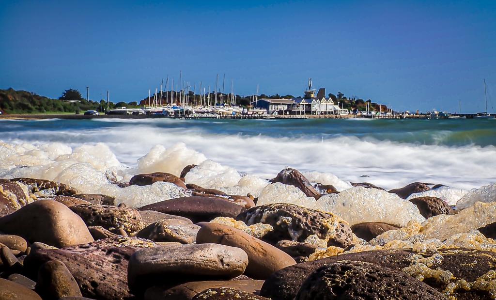 ROCKS AND FOAM AT MORNINGTON by Liz Mann