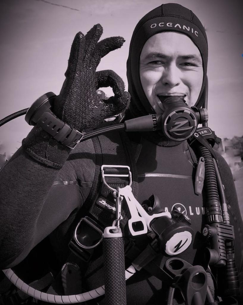 Diver Dan by Chris Fitzgerald